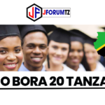 Top 20 best Universities and Colleges in Tanzania of all time