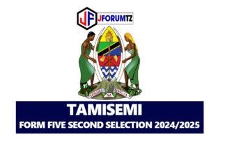 TAMISEMI Form Five Second Selection 2024/2025