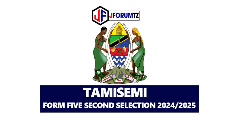 TAMISEMI Form Five Second Selection 2024/2025